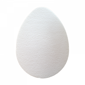 uovo bidimensionale